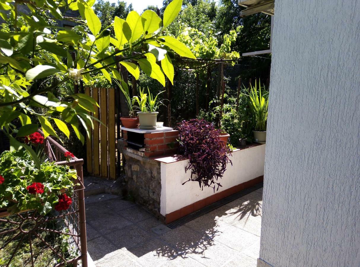 Apartments Placovici Volosko Dış mekan fotoğraf